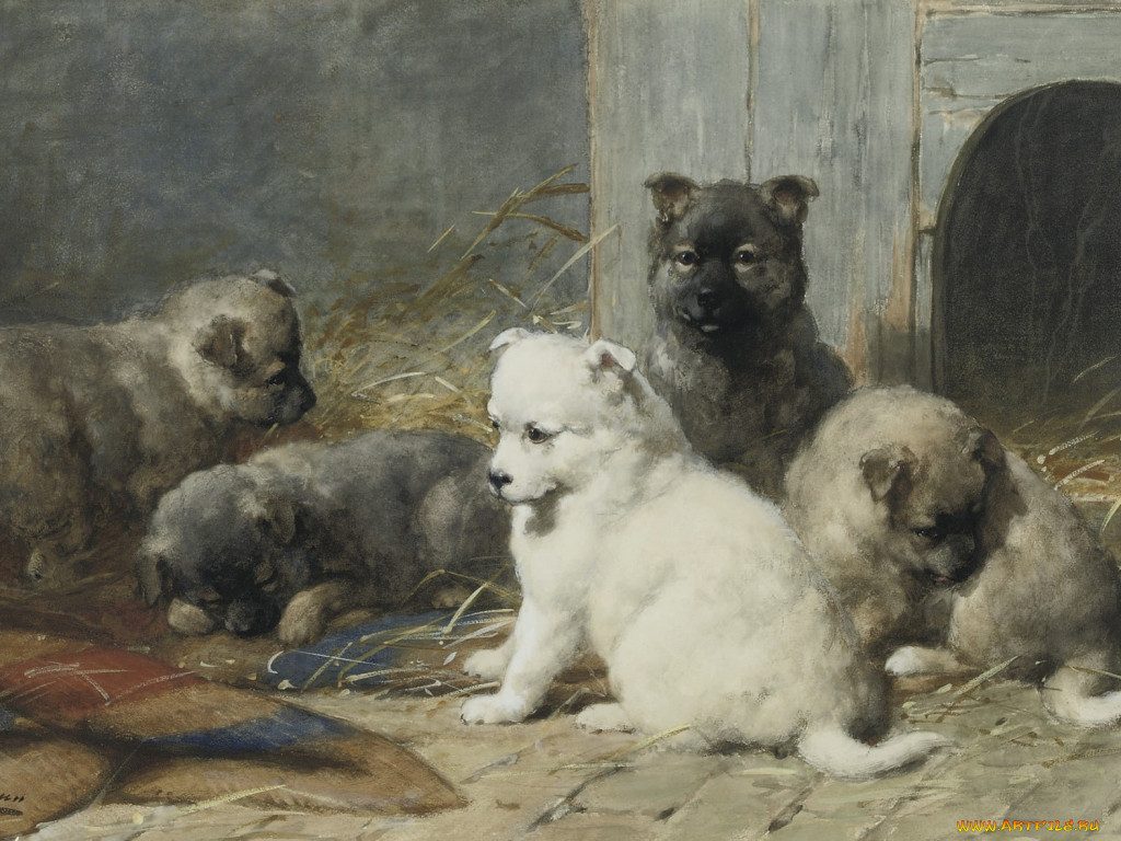 , otto, eerelman
